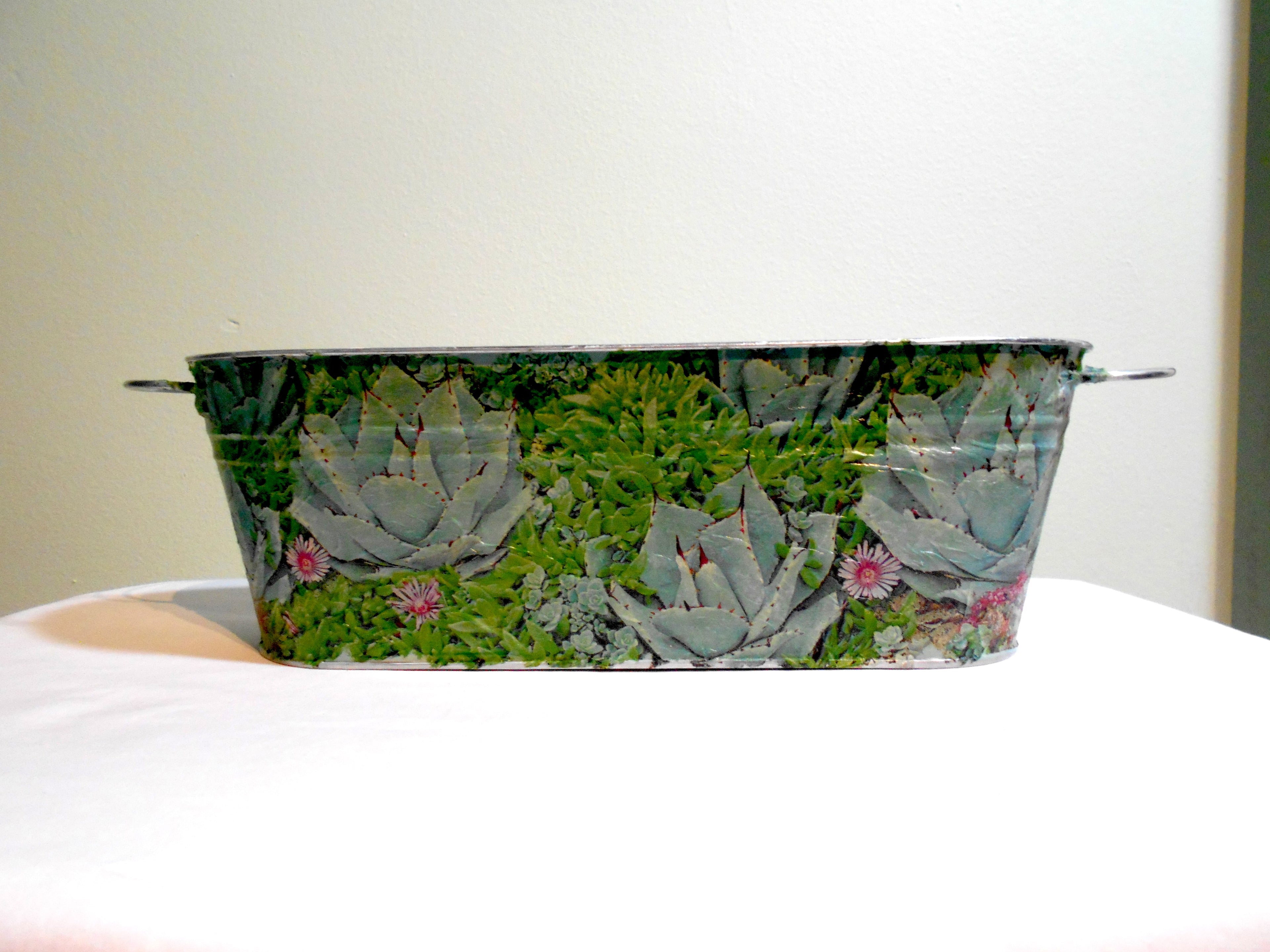 back shot green succulent metal planter home decor cottage core vintage floral mothers day birthday