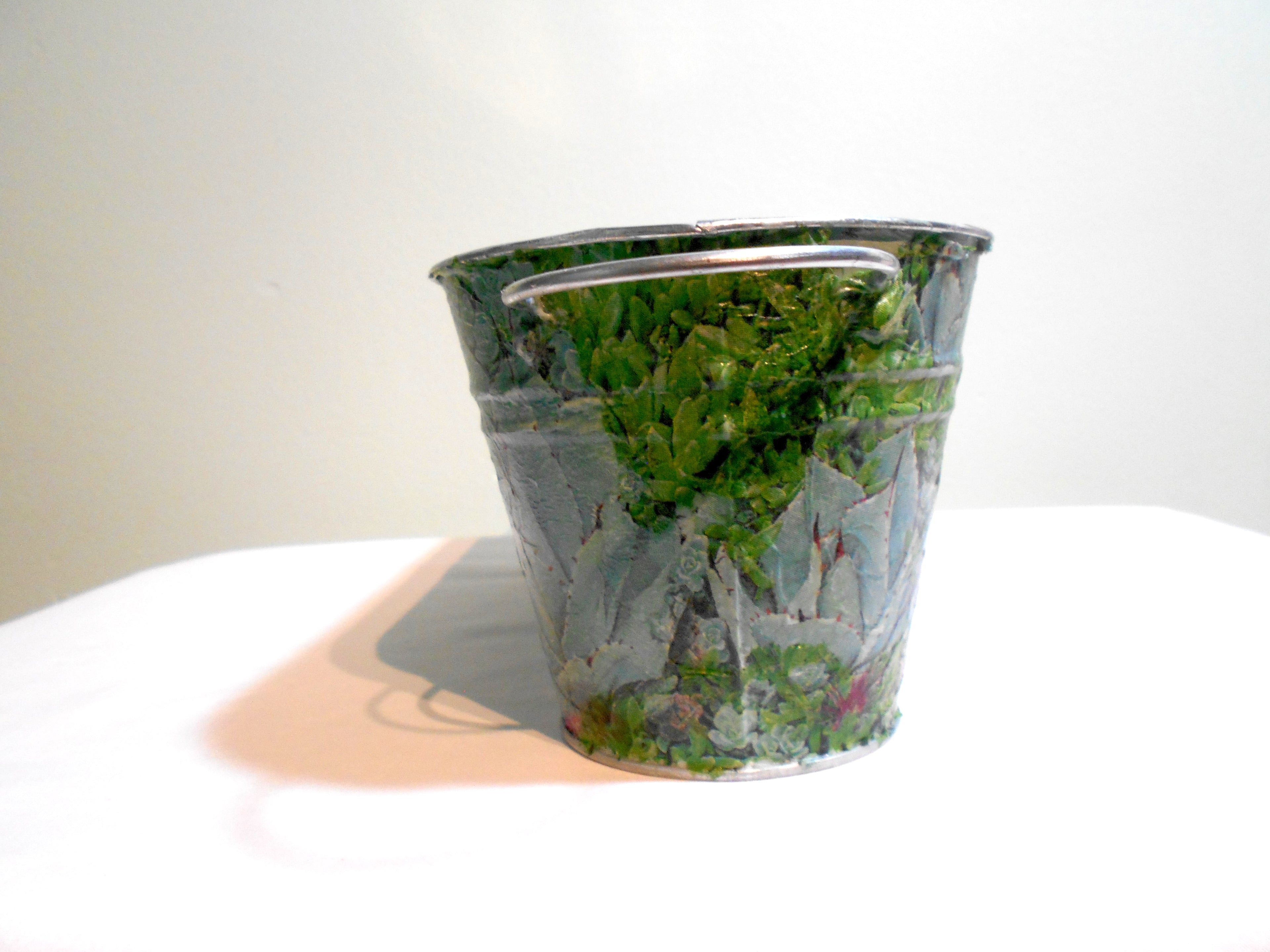 side shot succulent metal planter green cottage core home decor vintage floral mothers day birthday