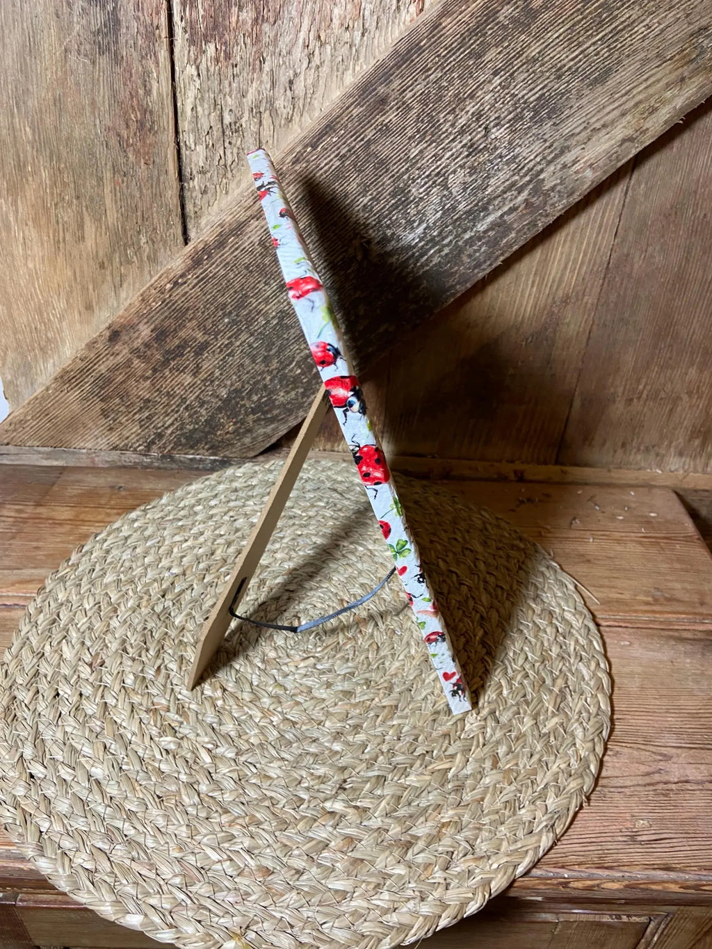 LADYBIRD PHOTO FRAME