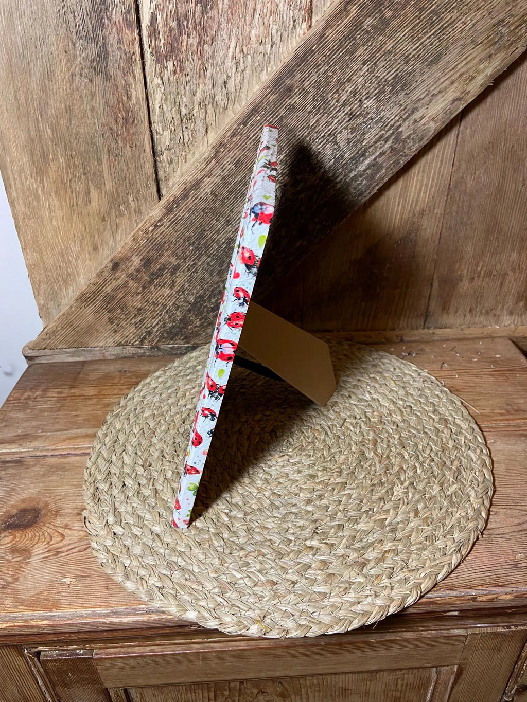 LADYBIRD PHOTO FRAME